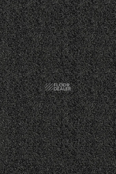 Ковролин AW Masquerade Messalina 98 фото 1 | FLOORDEALER